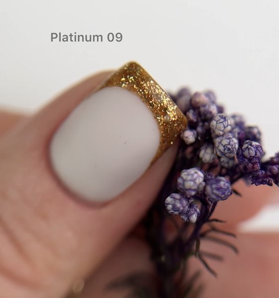 Platinum Gel by DANNY (глиттер гель) №09 8 ml 010877 фото